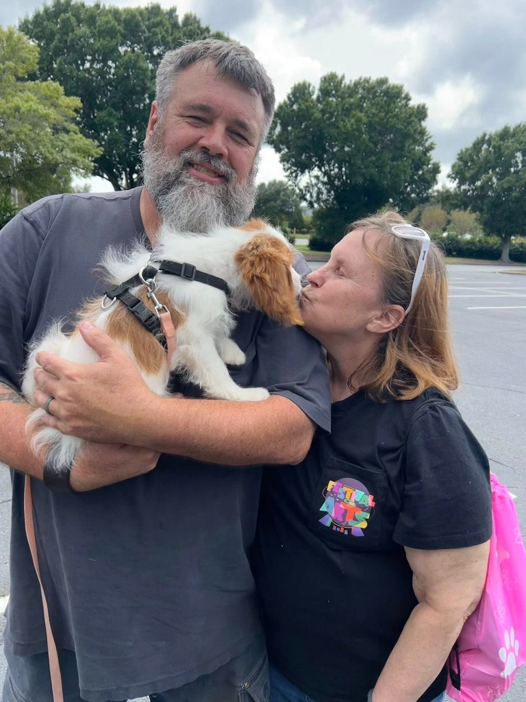 Puppies in car seat