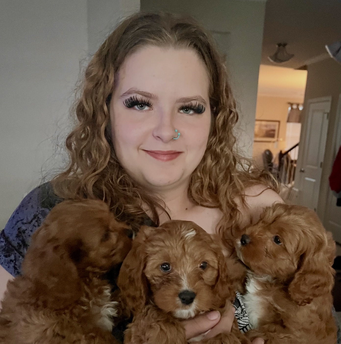 A happy owner with her two Cavapoo puppies