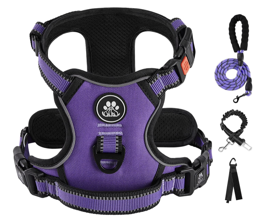 Puppy Harness & Leash