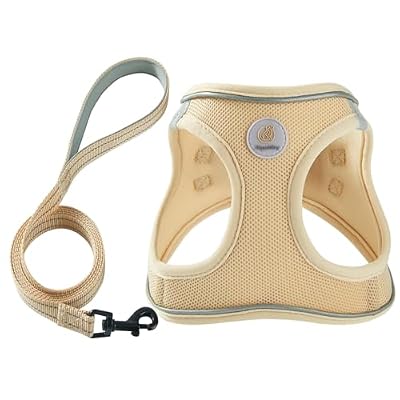 Puppy Harness & Leash Set