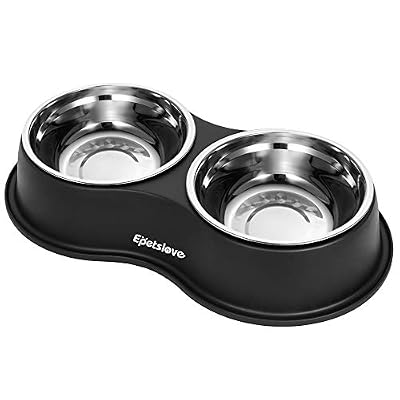 Double Bowl Feeding Station