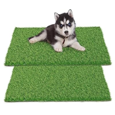 Artificial Grass Pee Pads (2-Pack)