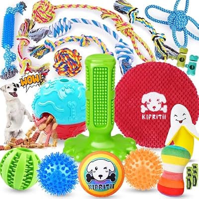 Puppy Toy Set (25-Pack)
