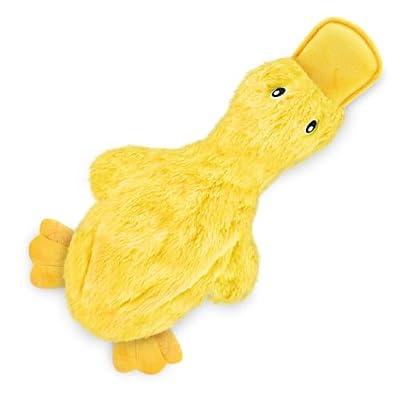 Squeaky Chew Toy