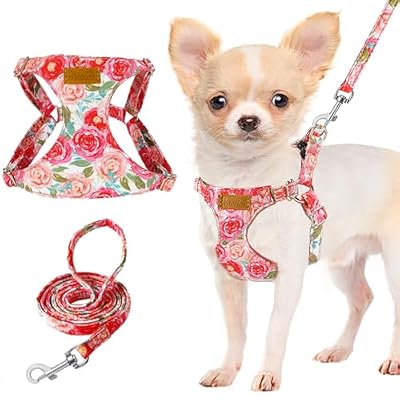 No-Pull Harness & Leash Set